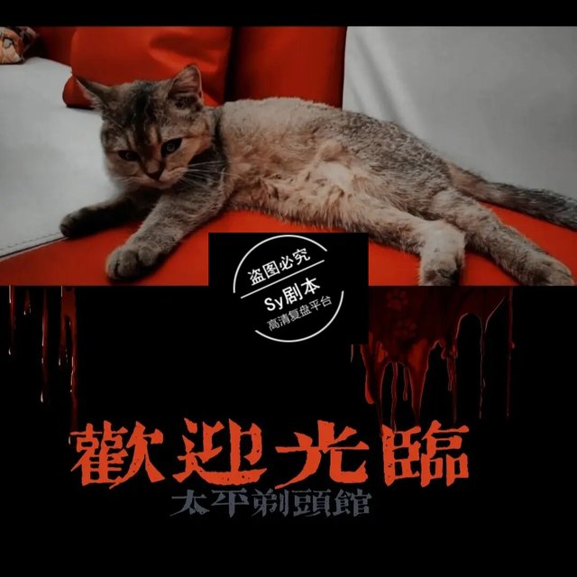 《太平剃头馆》—一个超好玩精简短的本(内含剧透)