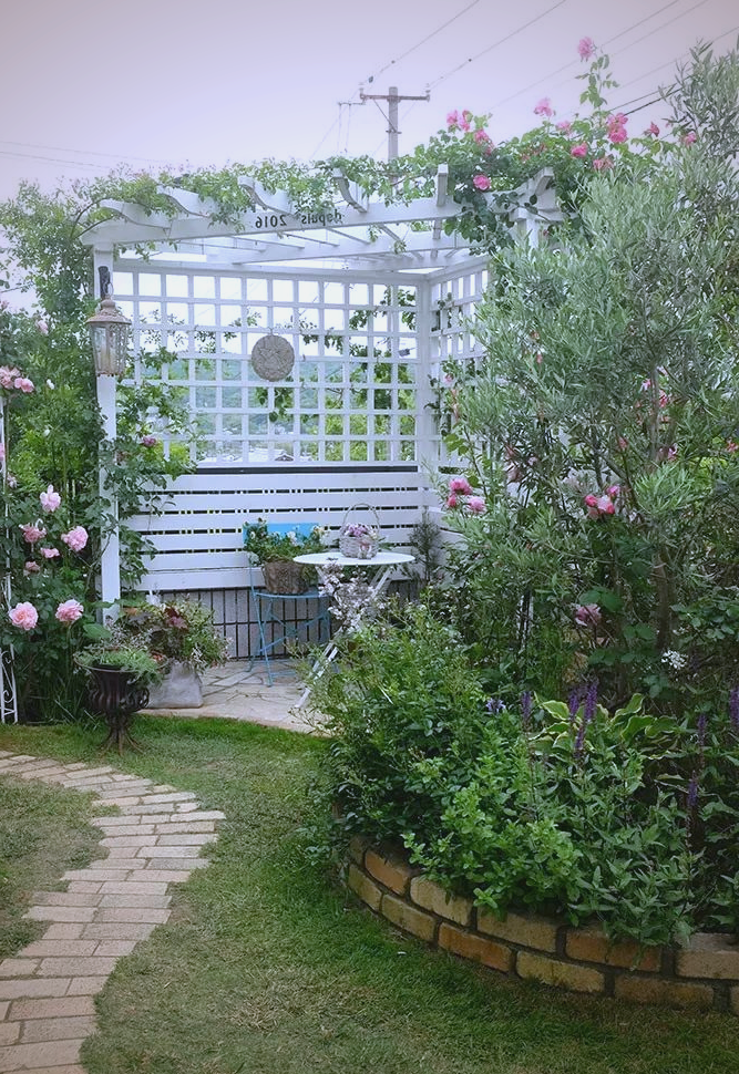 diy爱好者打造的月季花园,充满个人风格