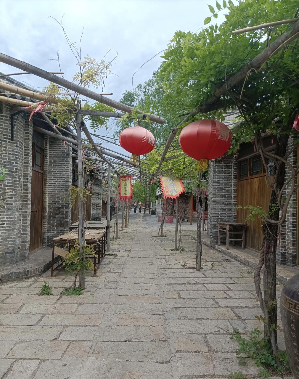 昨天在滨州的魏集古村落溜达了一圈,组织混乱,去的后悔.