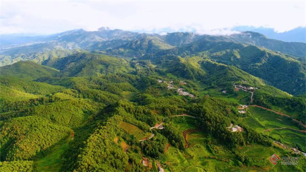 共享雅事乐事 第四届景东无量山狂欢节 "五·一"活动举行新闻发布会