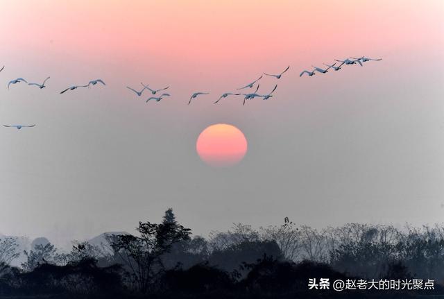 诗·画:洞庭一夜无穷雁