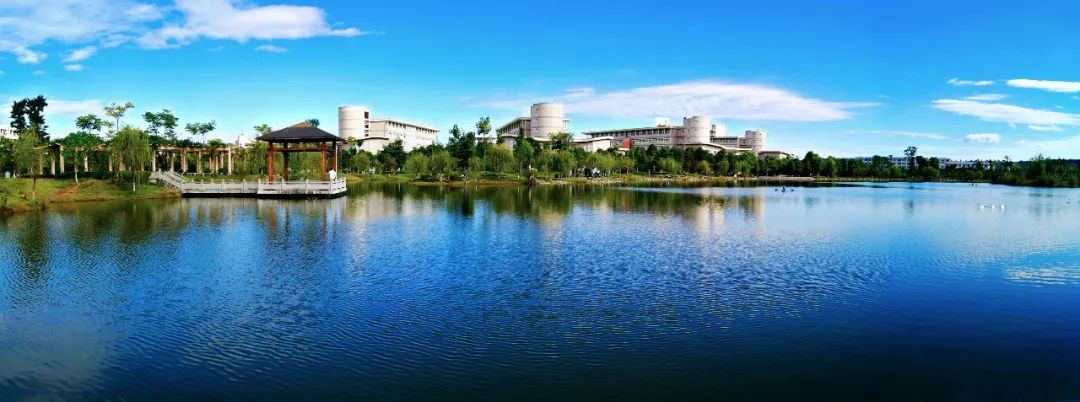 权威发布!西南科技大学2024年本科招生章程