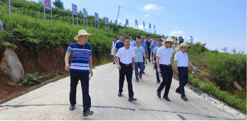 洞口县杨林镇图片