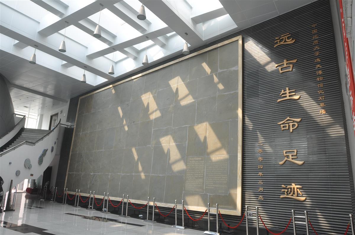 探秘中国地质大学逸夫博物馆:国家aaaa级旅游景区