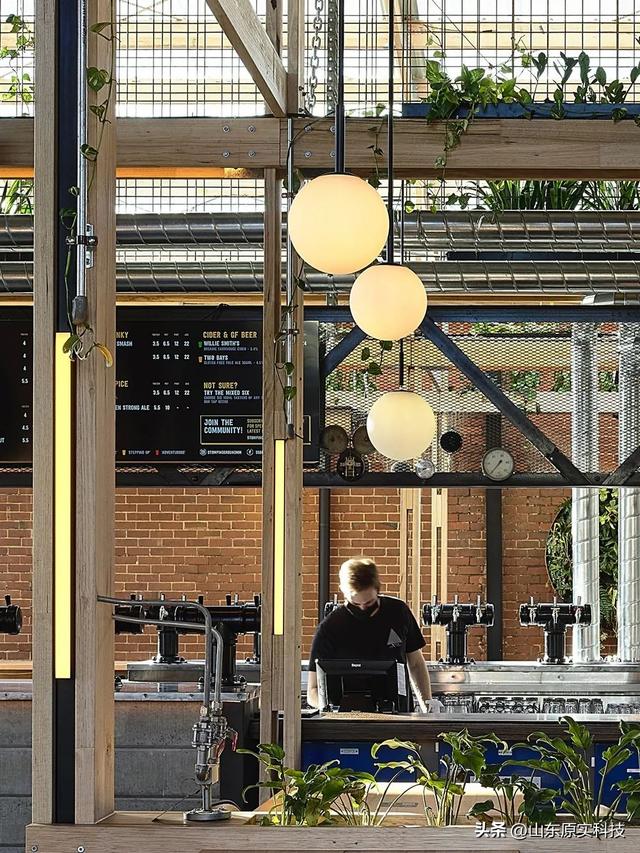 澳大利亚stomping ground灯光设计