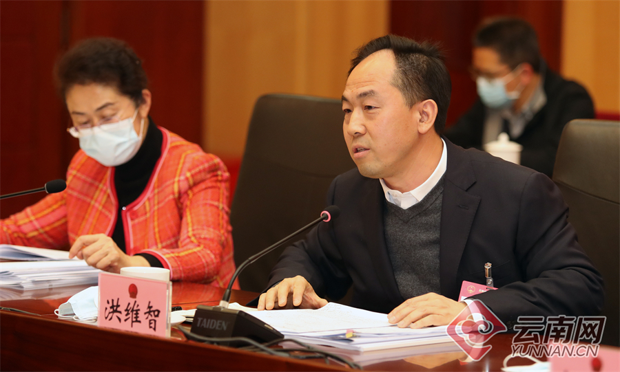 履职风采|保山代表团分组审议
