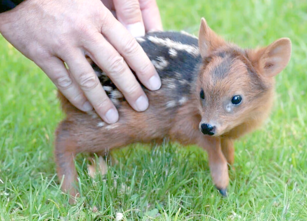 给小动物超度-超度小动物念什么经