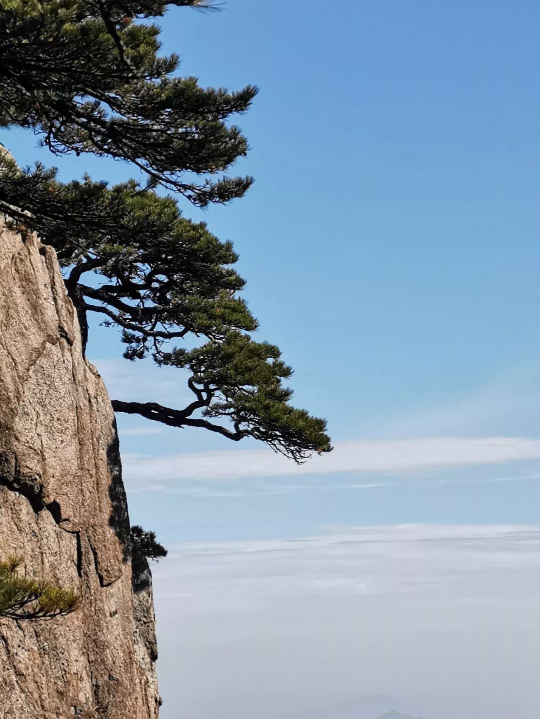 秋季黄山,万不可错过的诗意美景!
