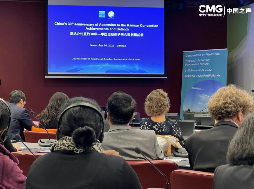 总台记者看世界丨在日内瓦分会场感受cop14中国力