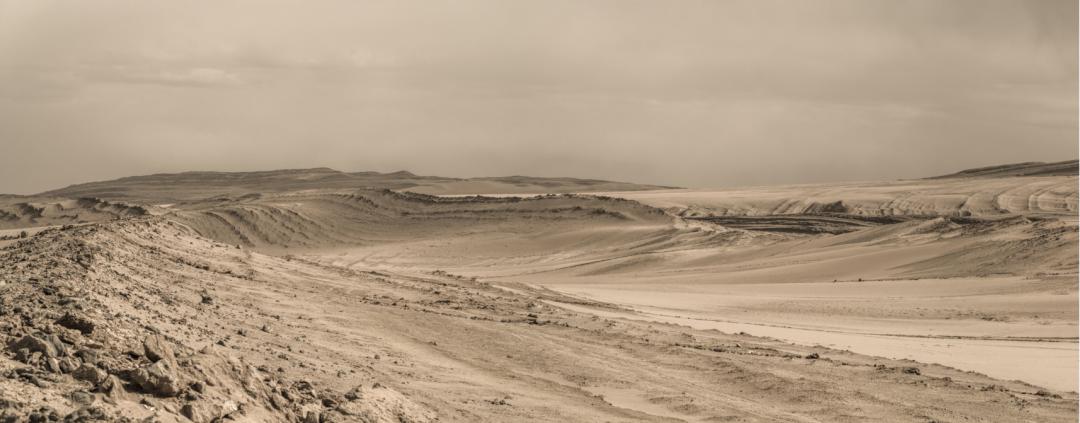 在不同的时间,我们抵达这片荒凉之地|专访骆丹