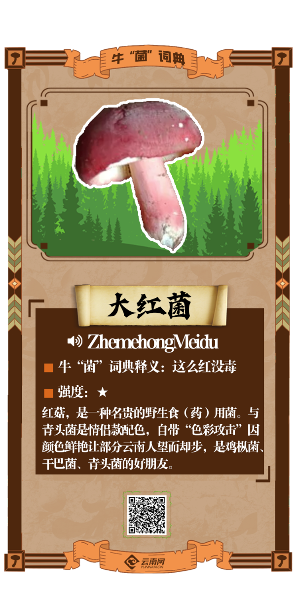 有声海报|野生菌的"英文名"你都知道吗→jier