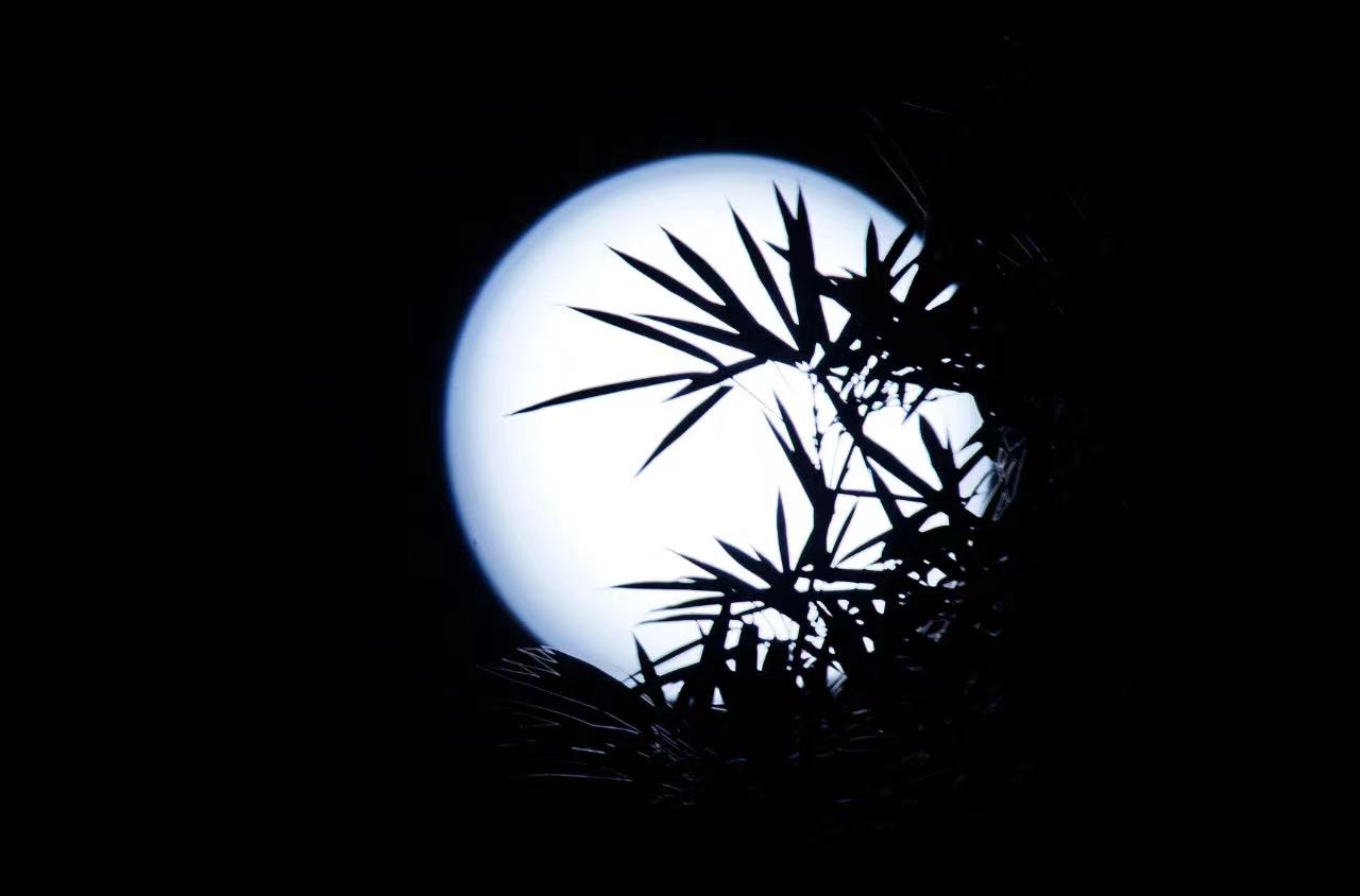 中秋的月亮没看够?高清美图来了