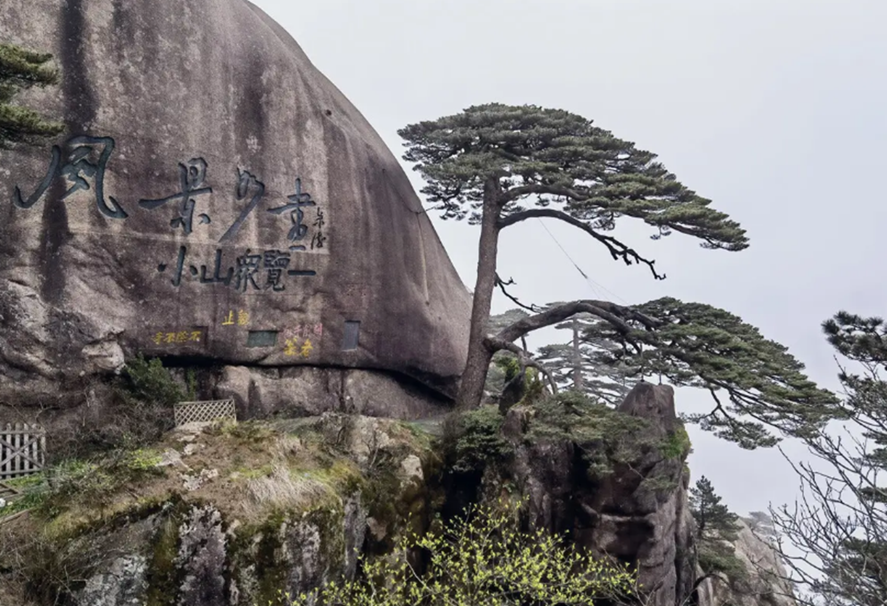 迎客松在黃山的哪個位置?