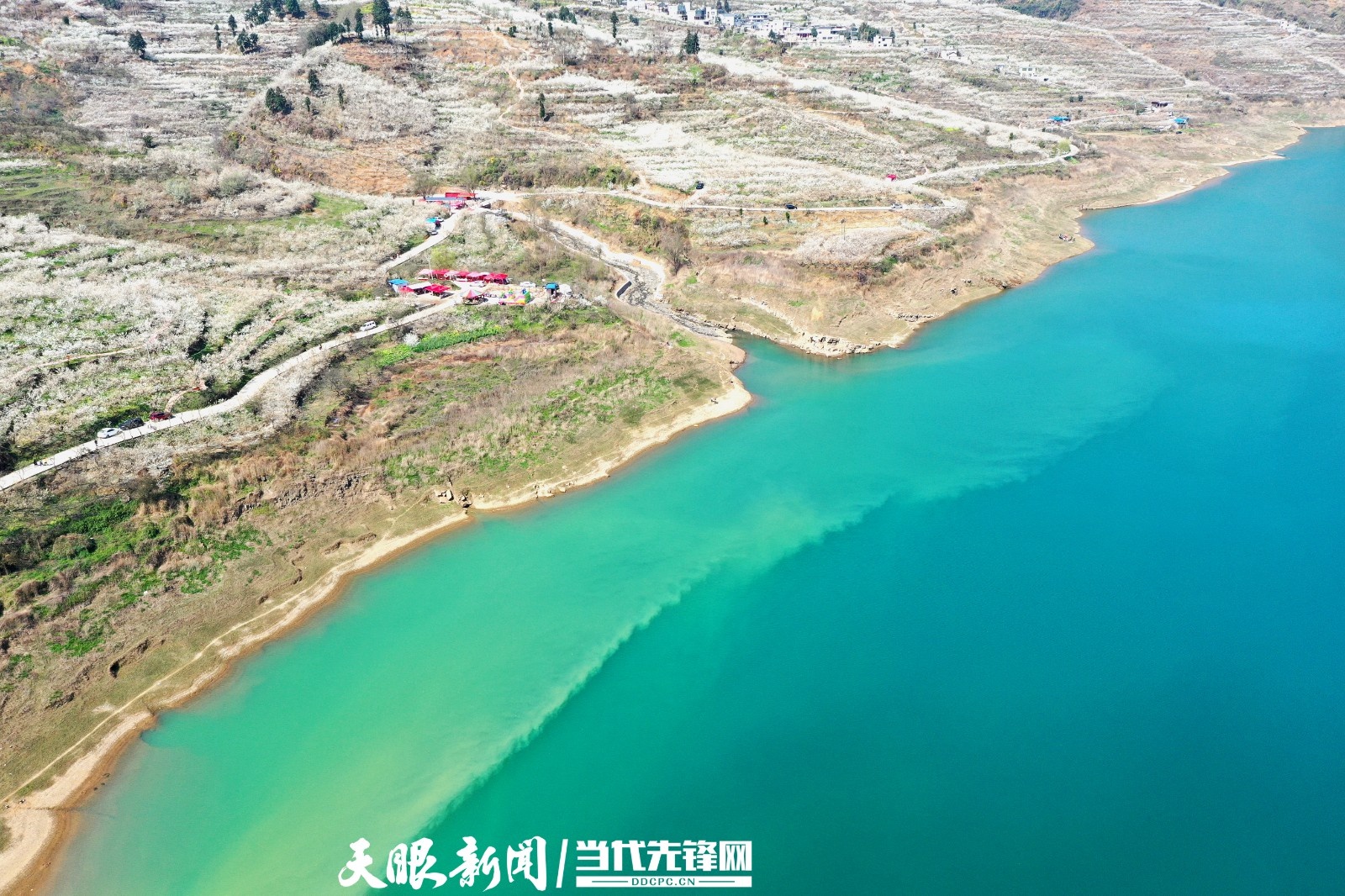 织金县马场镇:一朵花,带来幸福的春天