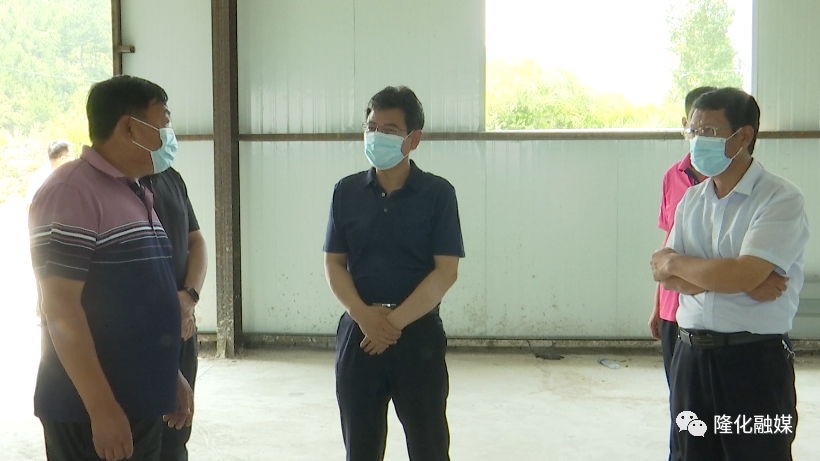 县委书记焦军就隆化县农业产业项目进行调研