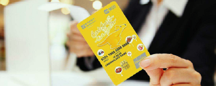 美团大美卡是什么意思