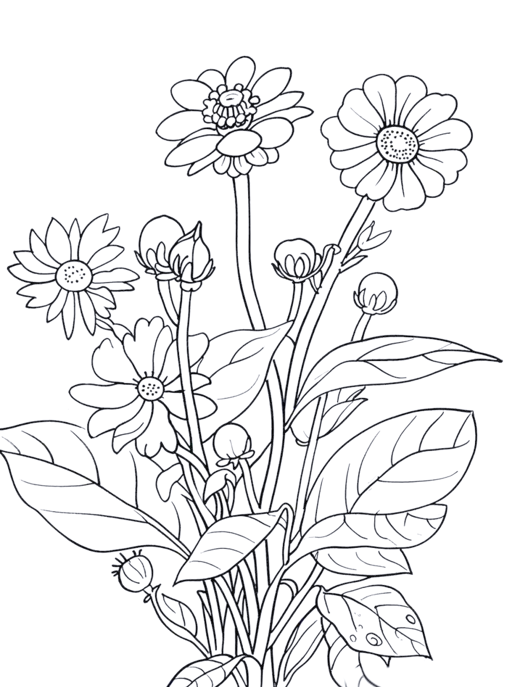 多种花卉黑白线稿简笔画与绘画技巧