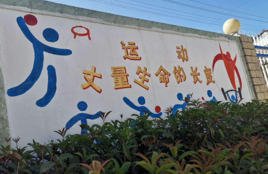 走进四川省巴中市通江县至诚镇药洪小学