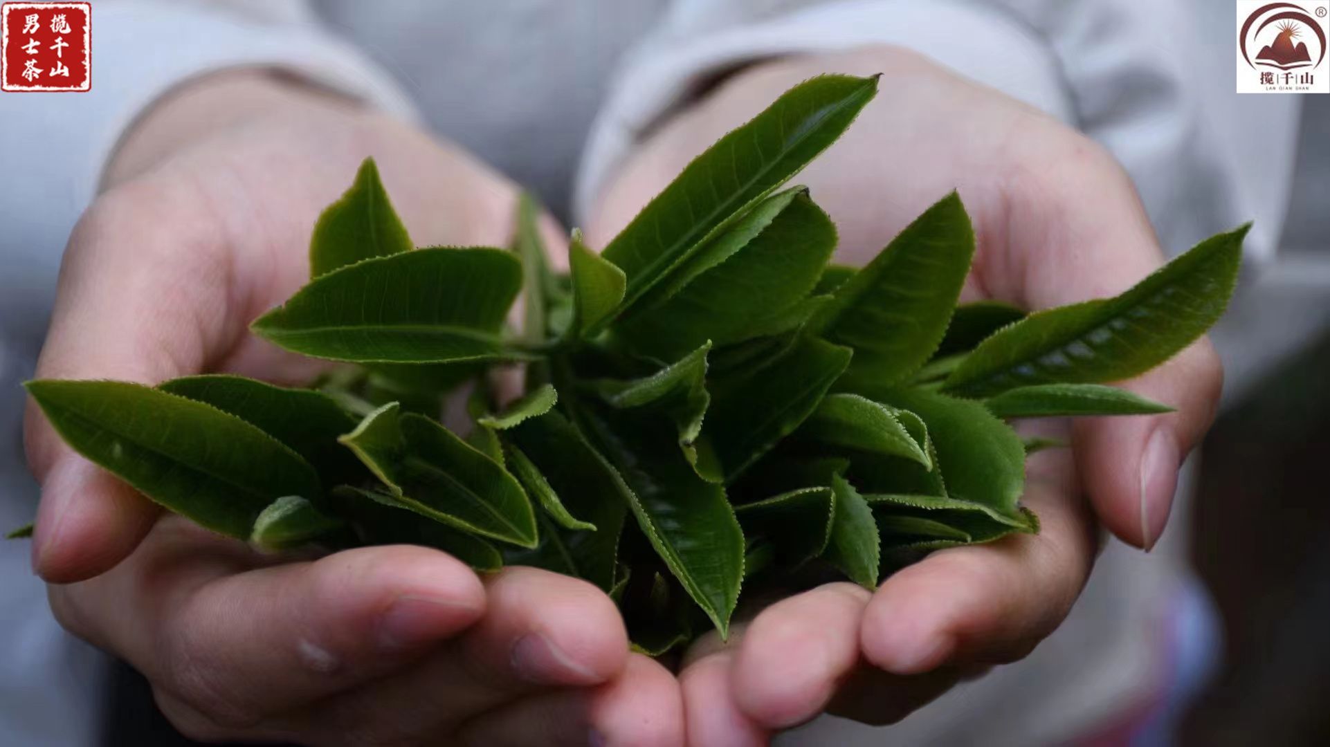 号称"小景谷"的苦竹山