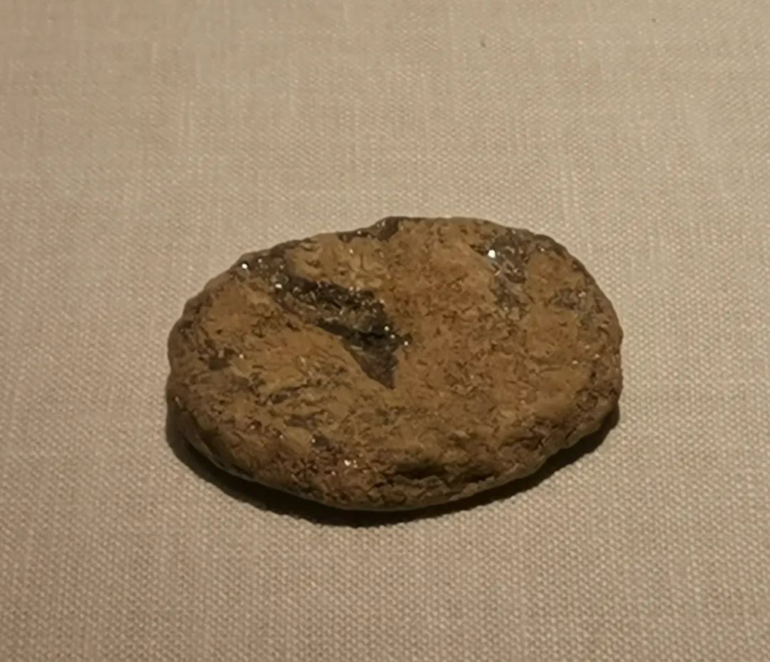 季永:硅基造物与双墩文化