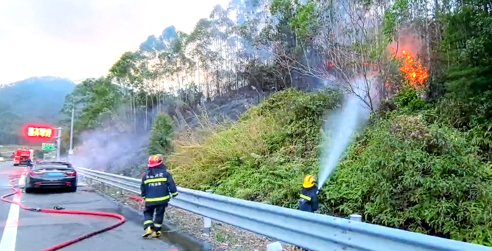 汕尾高速惊险:轿车起火引发山火,消防合力扑救成功