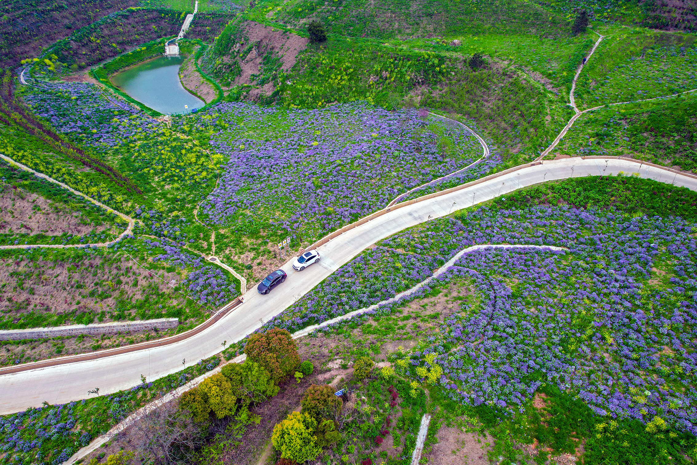 庐江:废弃矾矿换新颜