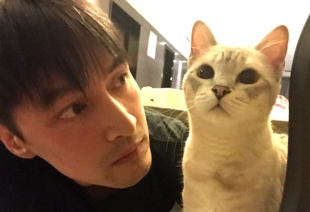 仙剑留守儿童胡歌为养猫,买了一栋豪宅!