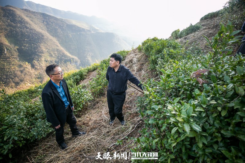 「我的扶贫故事」我是一名"特种兵" 丨纳雍县水东镇党委书记王思华