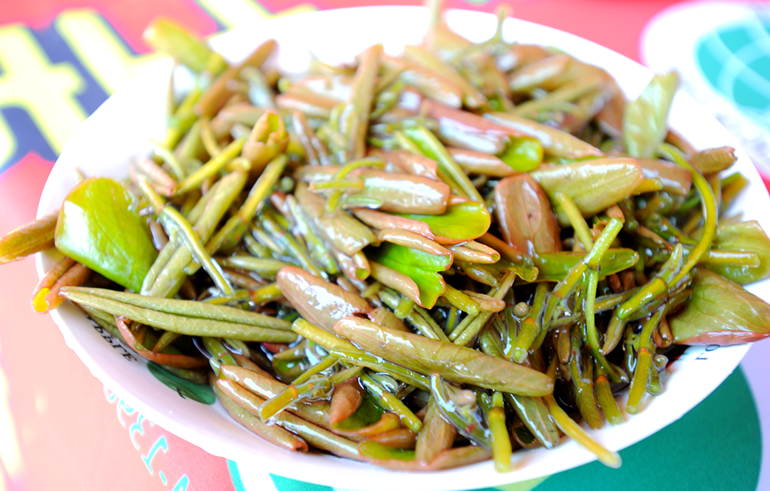 喜乐吴中:品味莼菜的多重美味