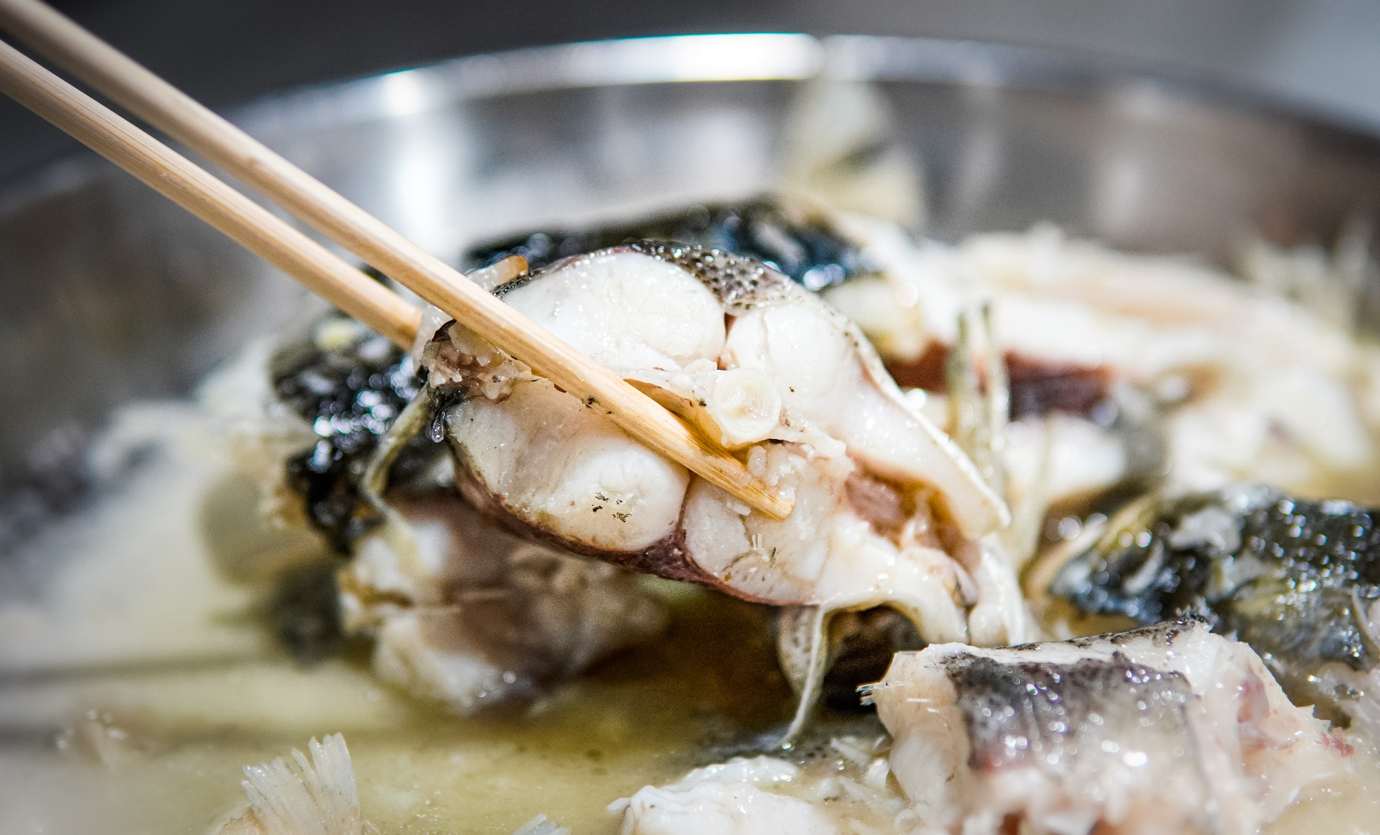 「新会旅游」千里探店,只为鲜到让人吞舌头的司前夜鱼!