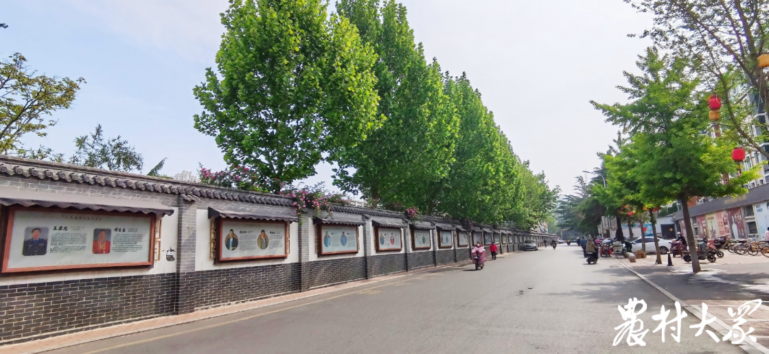 齐鲁最美退役军人王俊仁的共富经:"先治坡,后置窝" 发展