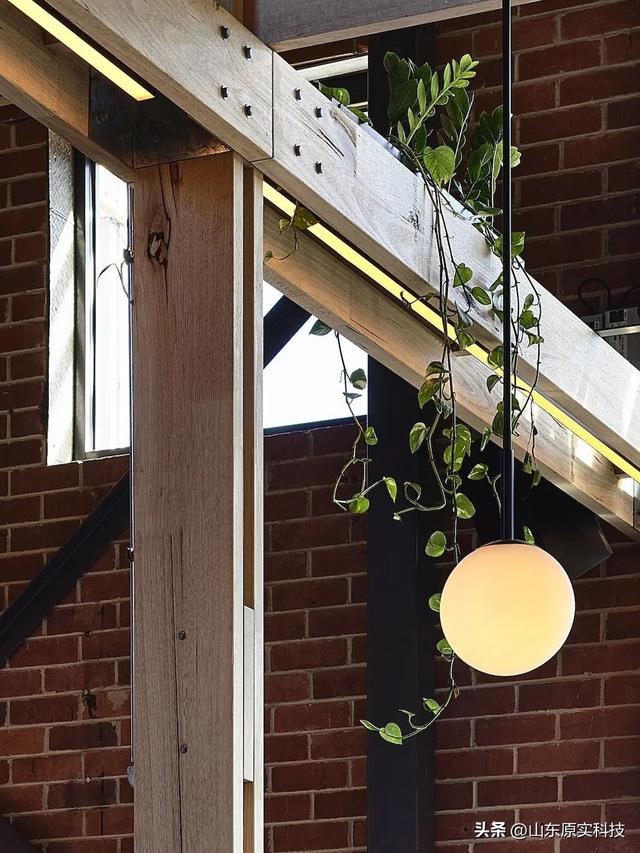 澳大利亚stomping ground灯光设计