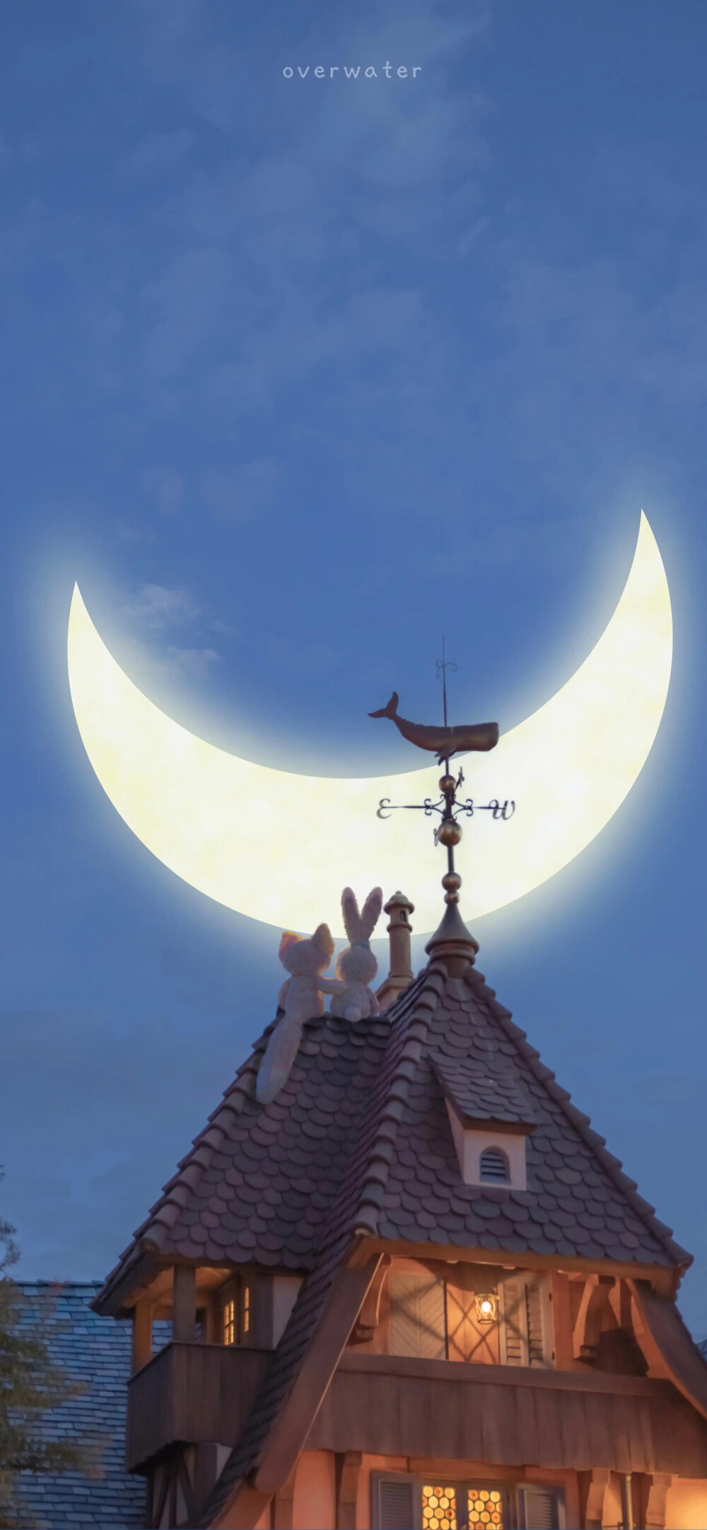 壁纸丨温柔的壁纸里藏着欢喜