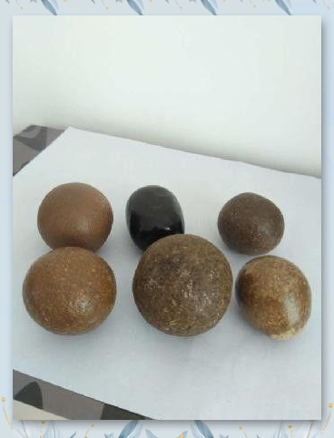 羊宝的奥秘与辨别方法