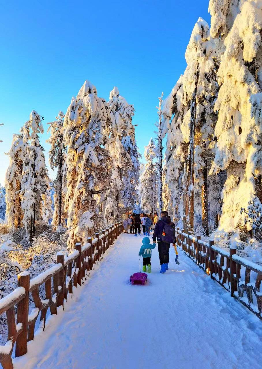 瓦屋山风景区照片图片