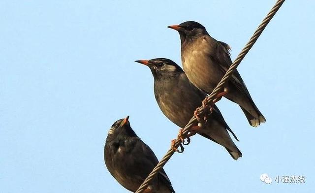 佛山街坊 你知道你家的电是怎么来的吗?戳这里