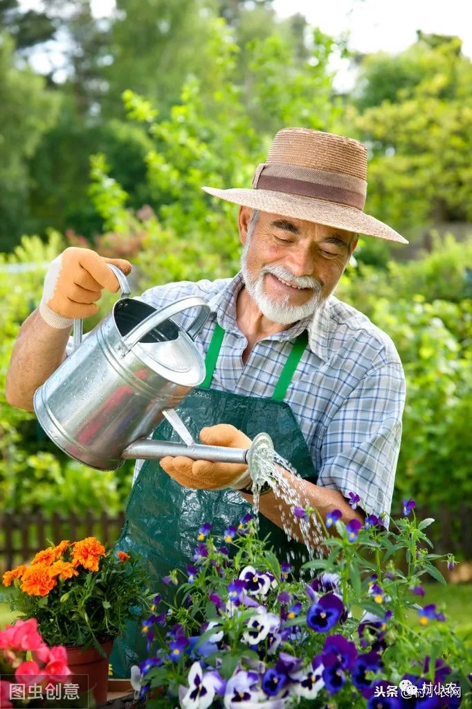 老年人要把花养好,做好这3点才是关键,家里有老人的赶紧学起来