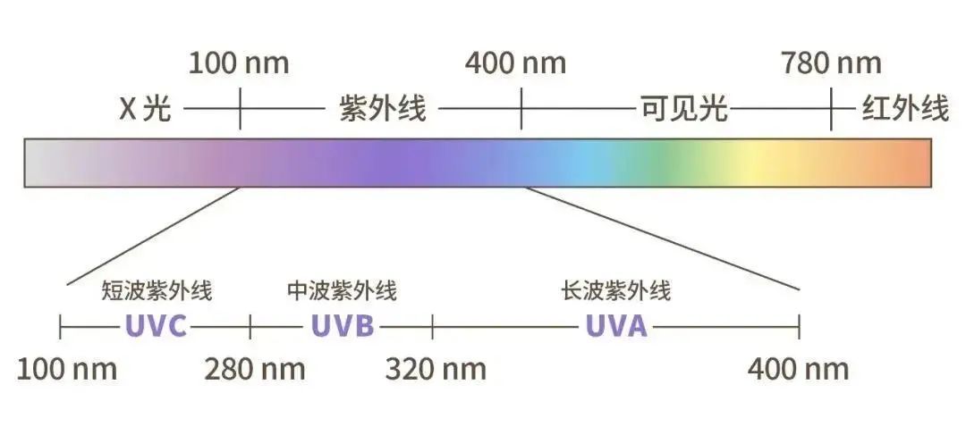 紫外线是一种波长在 100 nm～400 nm 的光,按波段可以分为 uvc,uvb 和