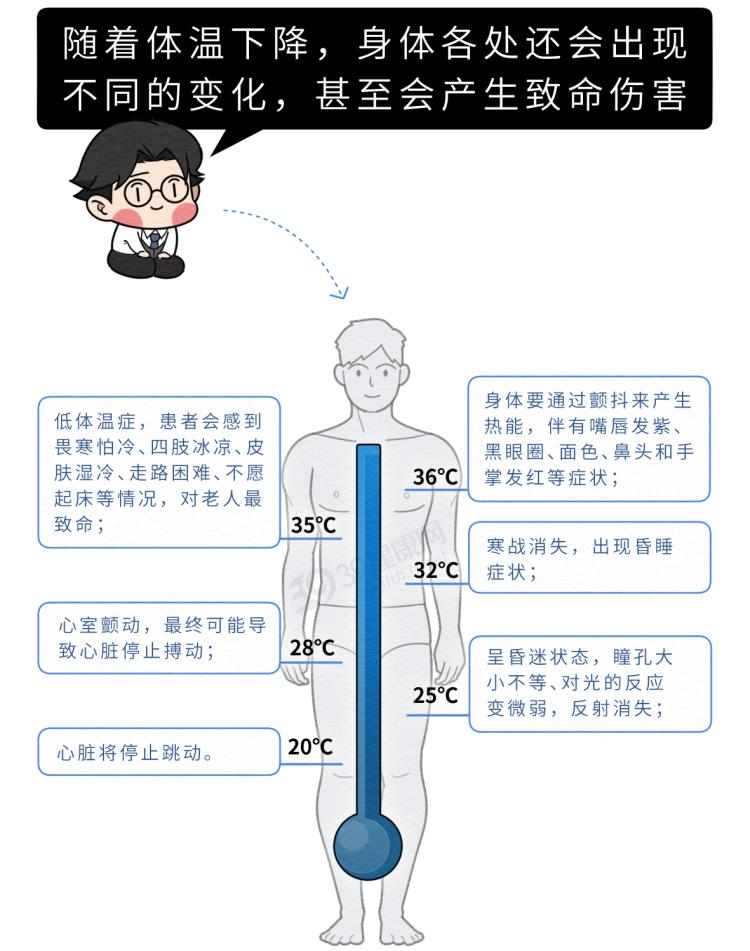 人体体温早晚变化图片