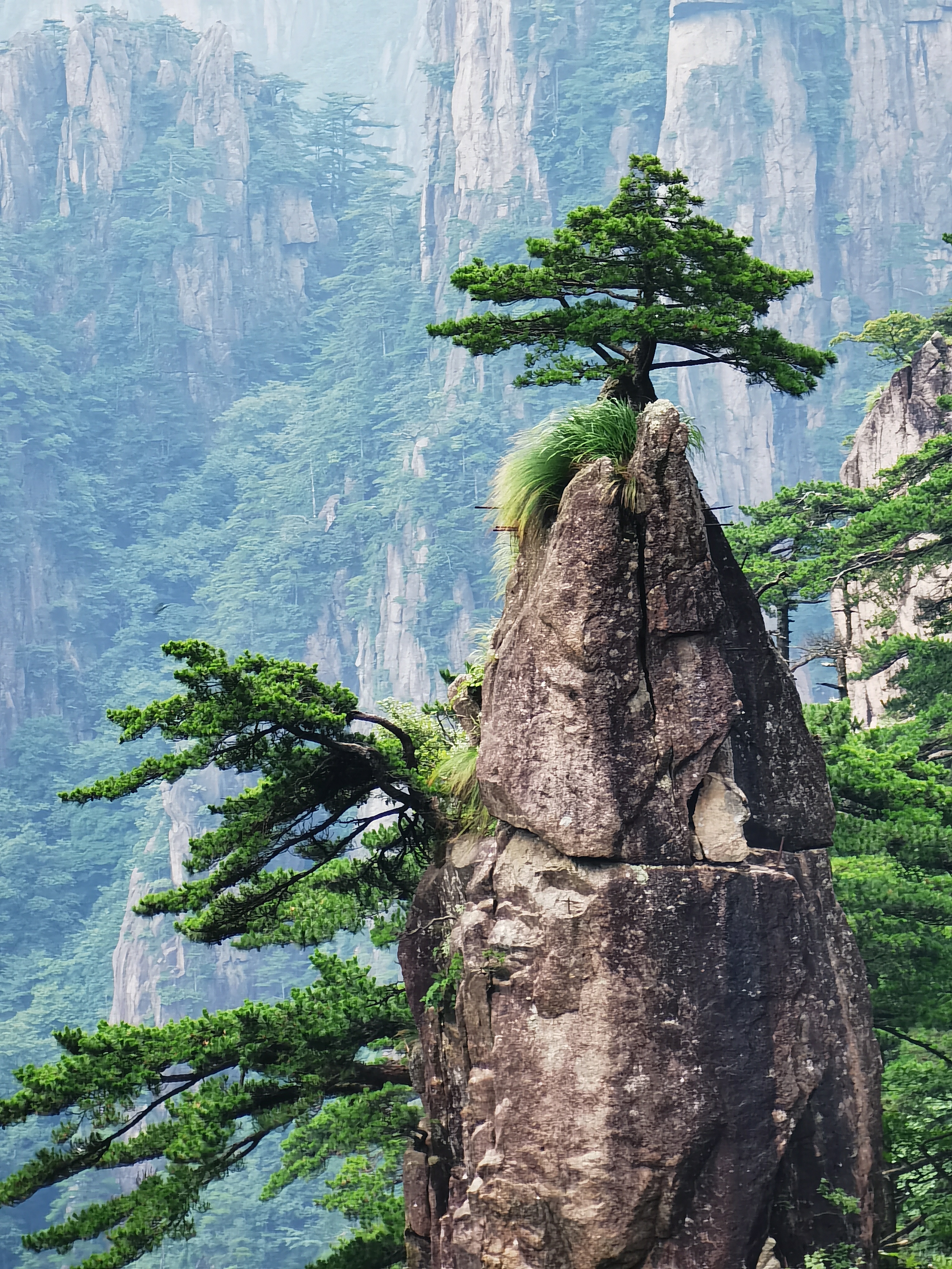 黄山奇石的照片图片