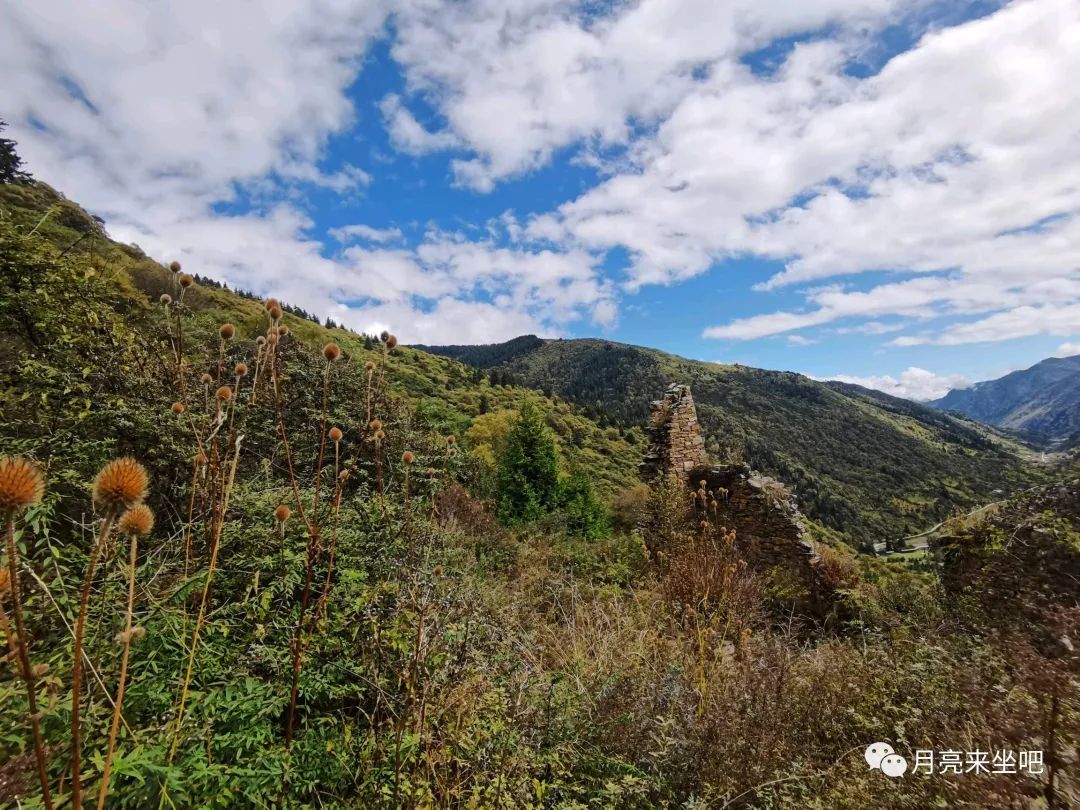 岩窝寨的那山那人那狗