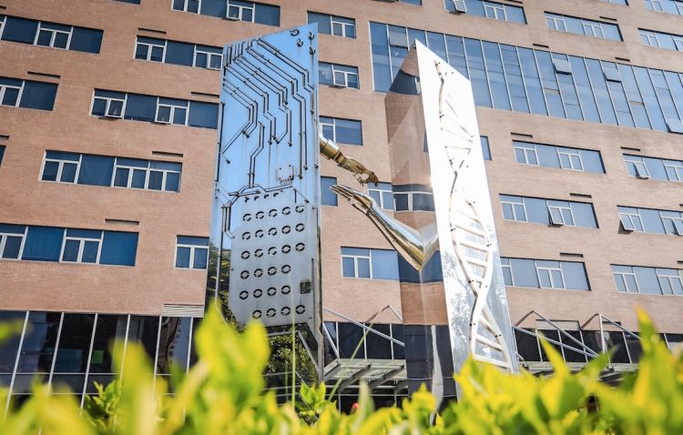 深圳先进院内象征it和bt融合的雕塑