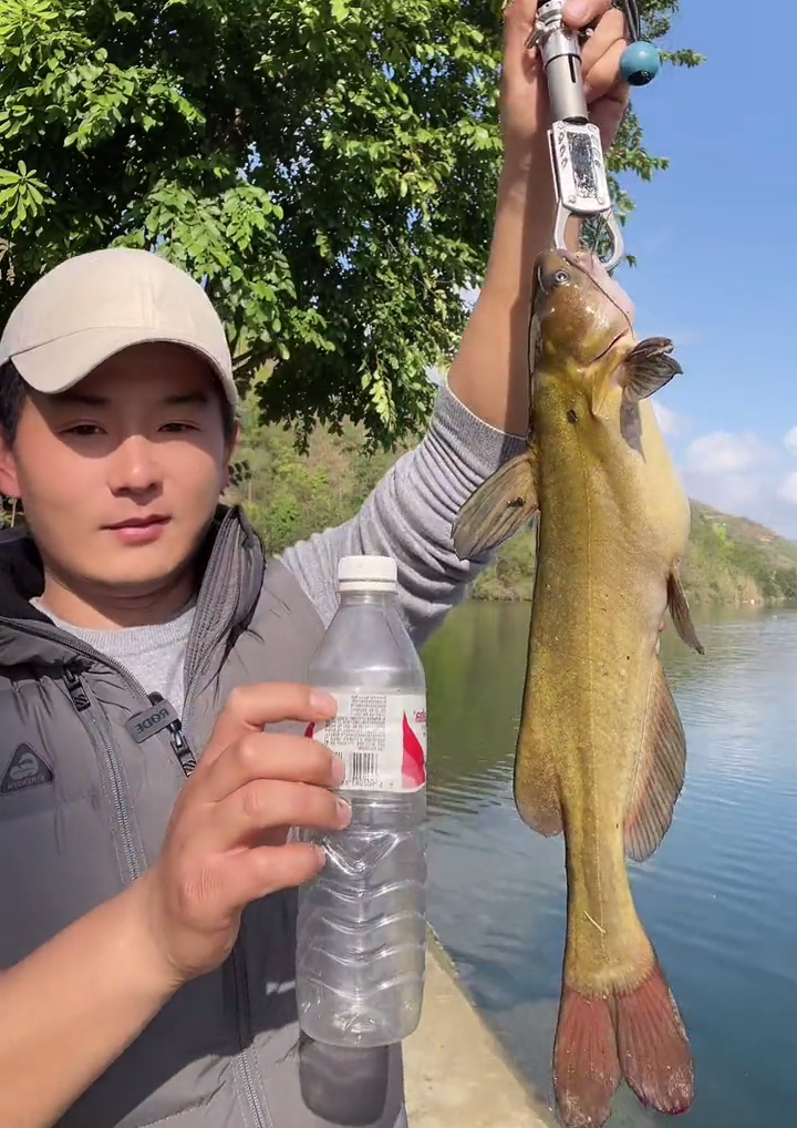 这鱼成精了!男子钓起3斤重江黄鱼,随后放生,网友直呼太可惜