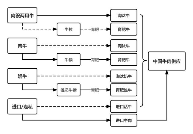 中国肉牛养殖模式及牛肉供应结构变化