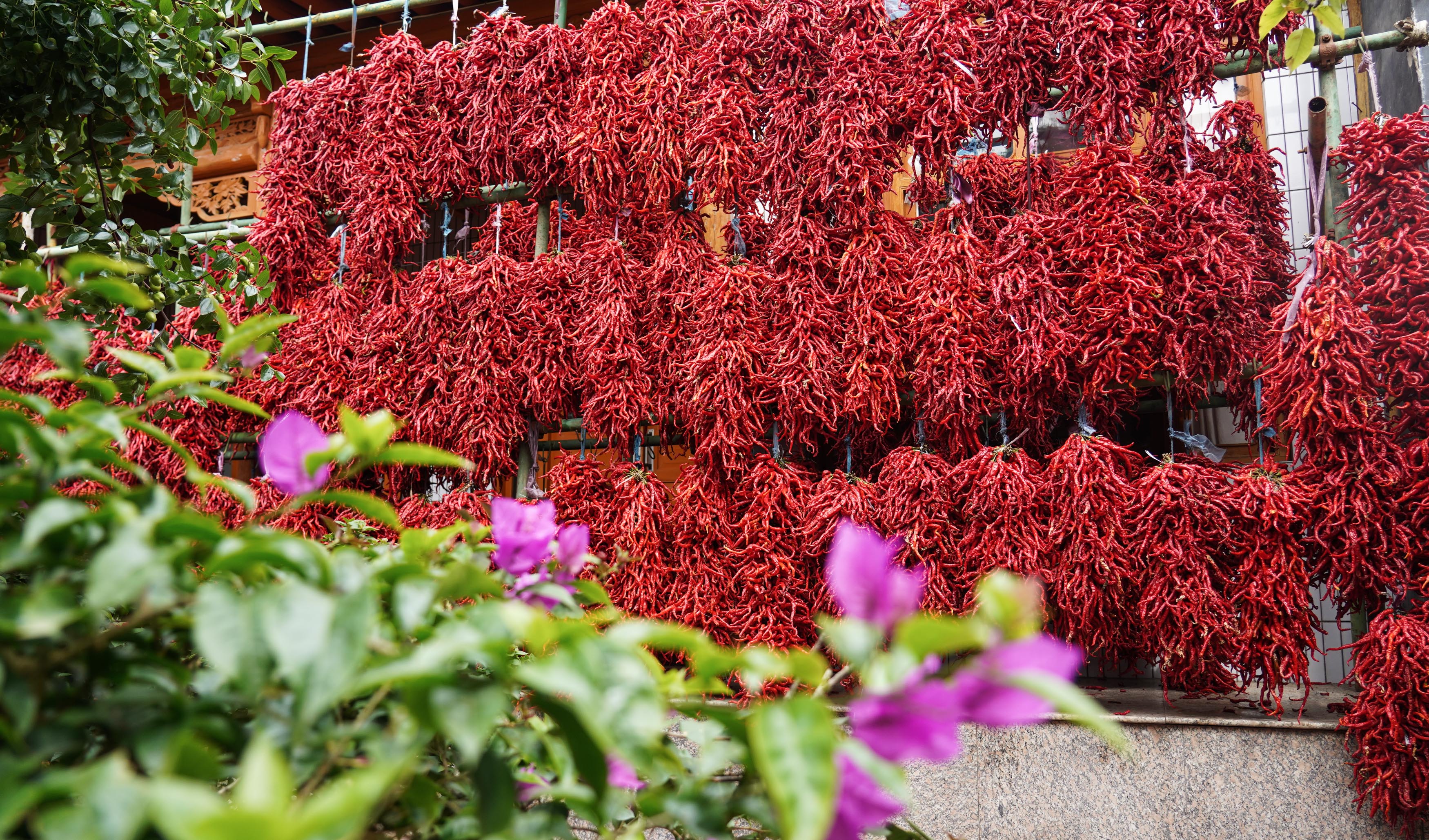 循化- 热门厂家专区