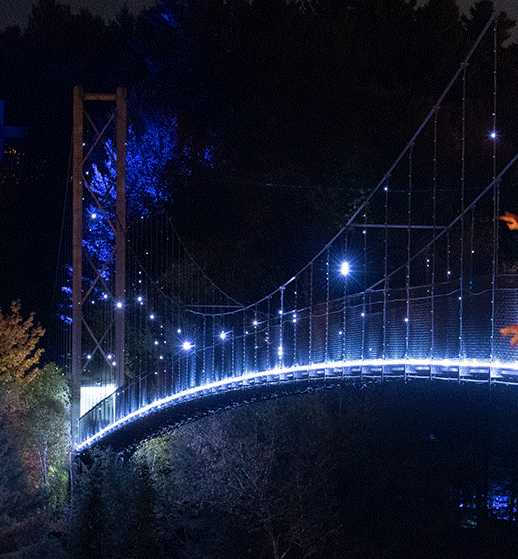 加拿大幻光森林:沉浸式体验让林地公园变成知名夜间旅行目的地
