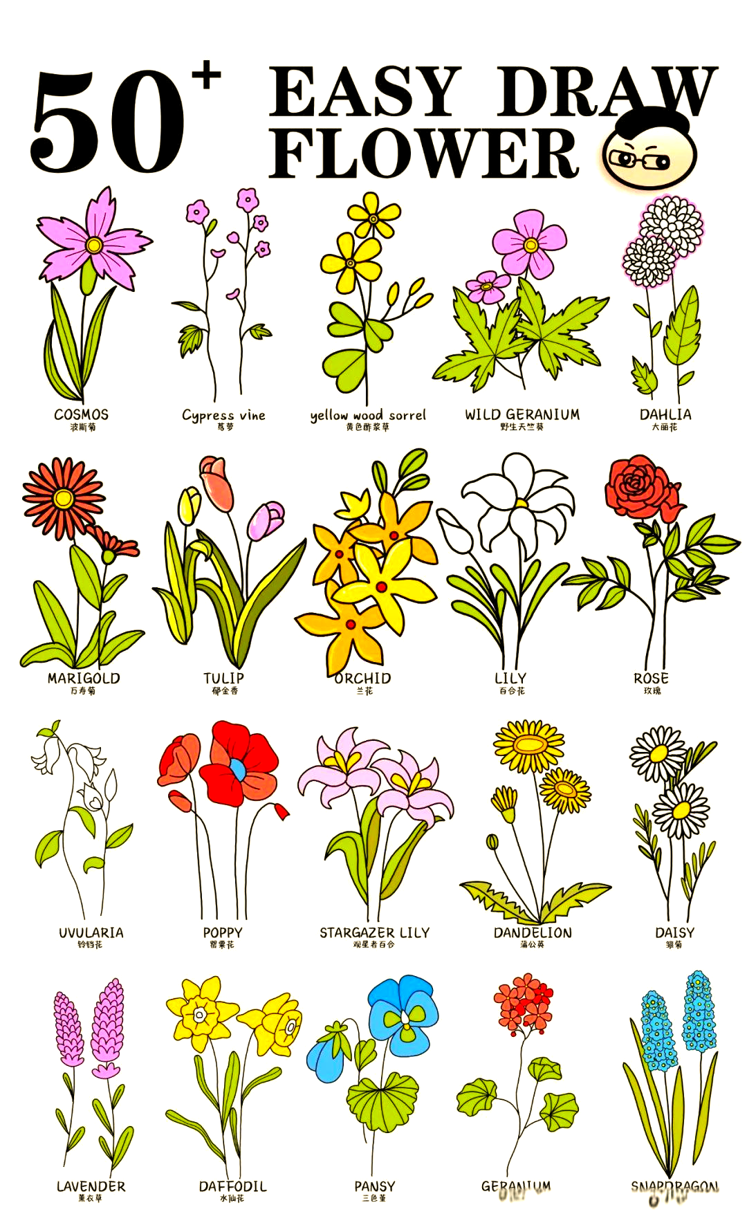 多种花卉简笔画教程