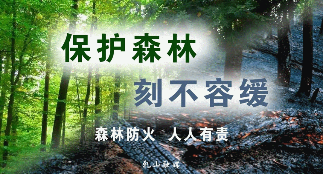 享受春光正好 春季森林防火意识不能少