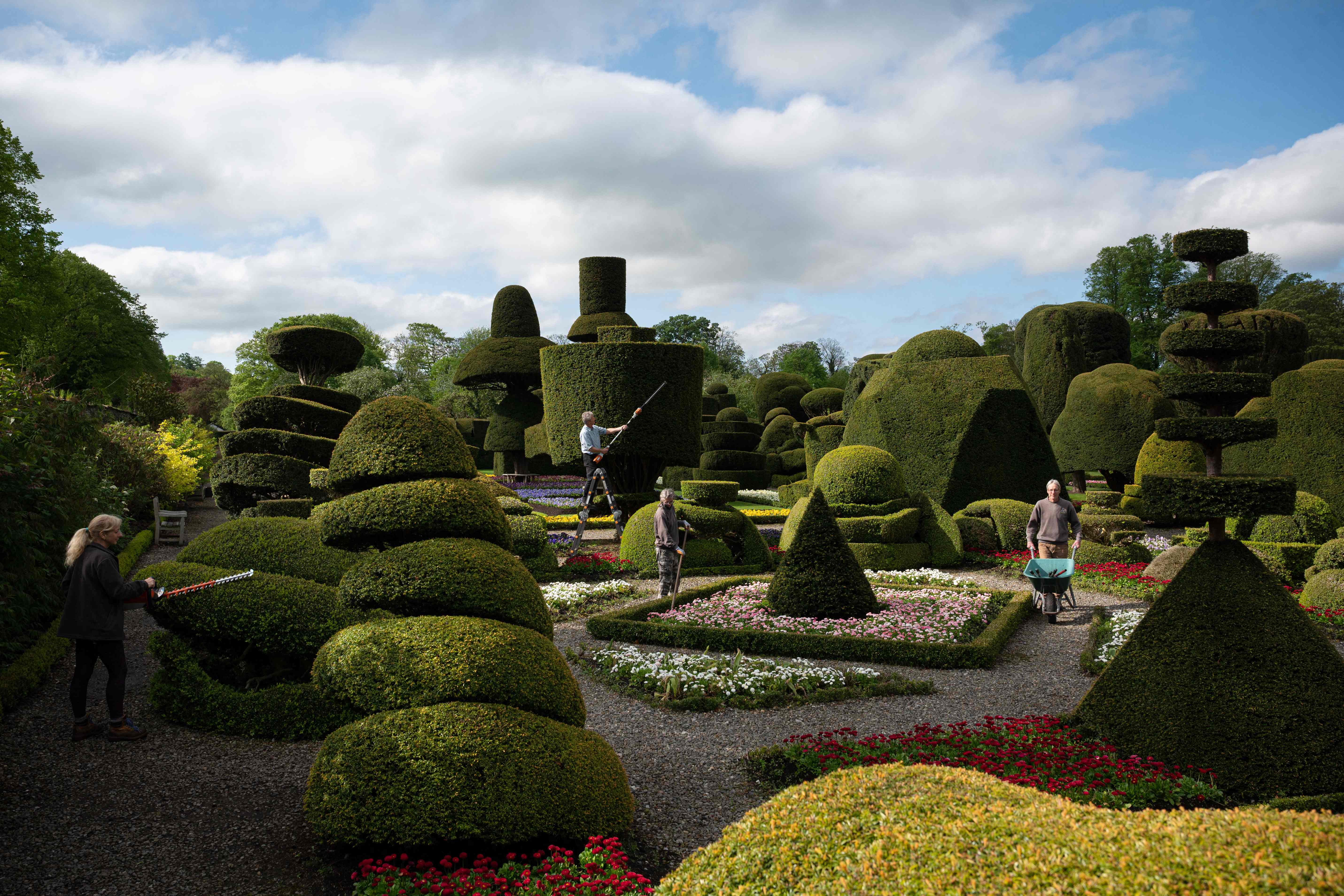 英国:为树木做造型