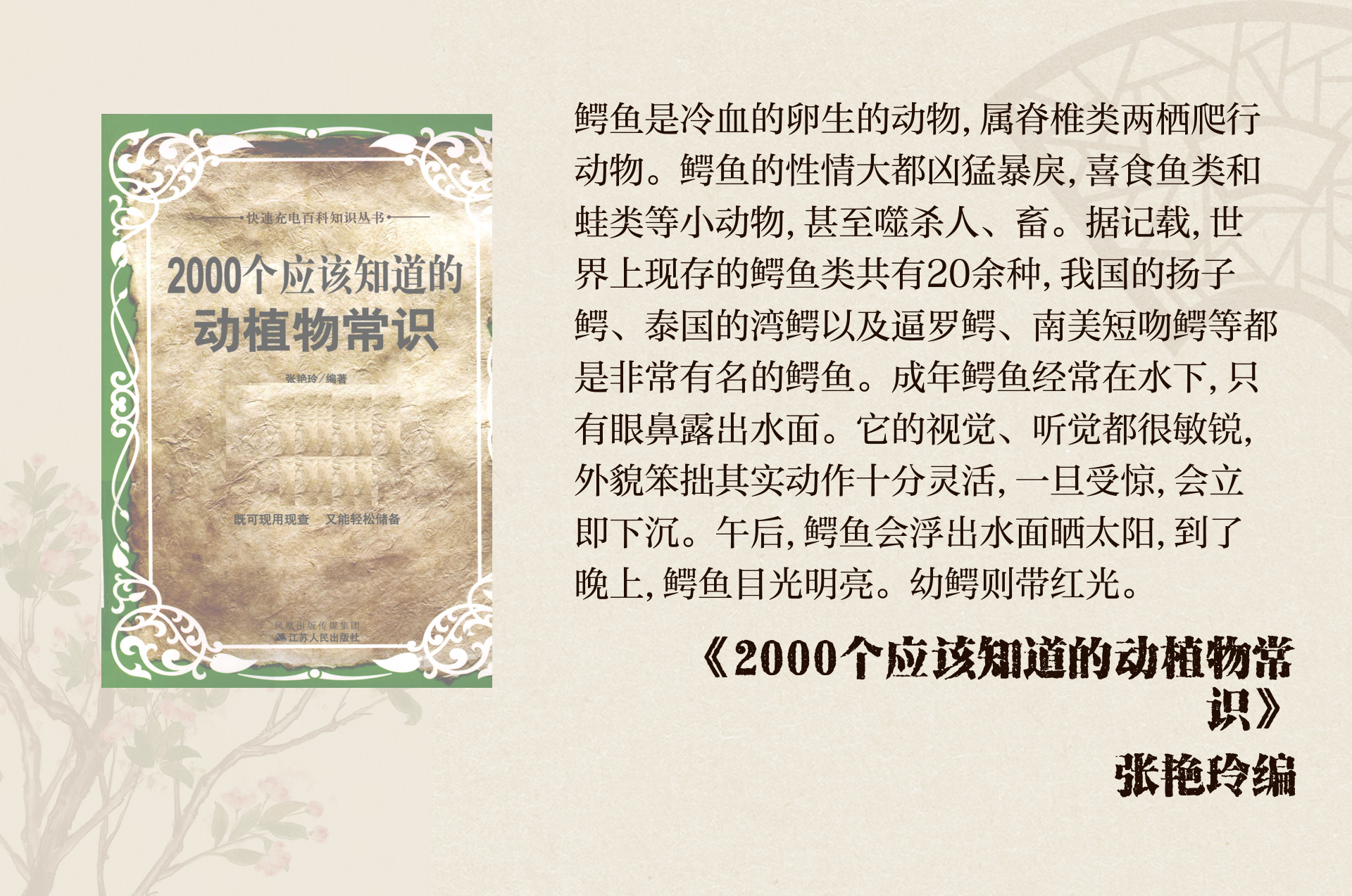 鳄鱼为什么叫crocodile为什么在线